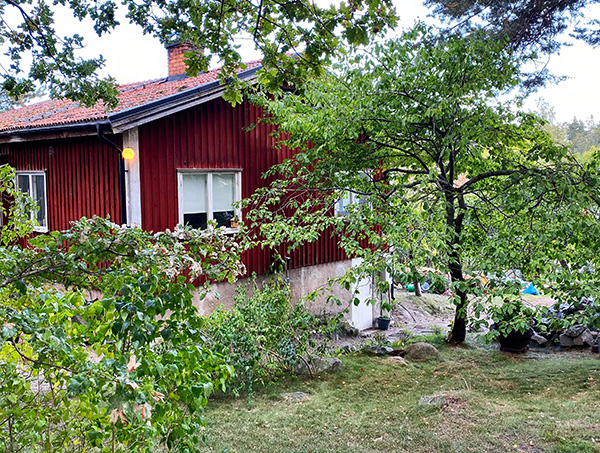 Äldre villa med skogstomt